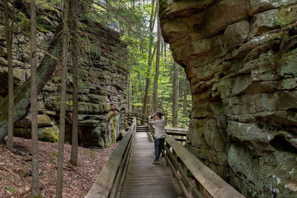 visitor examining rock formations in a state park near lewisburg west virginia