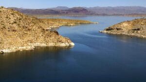 Alamo Lake State Park