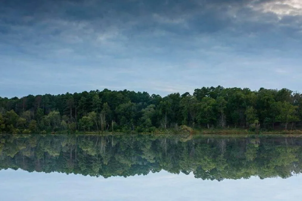 trees reflected in the lake at Atlanta State Park