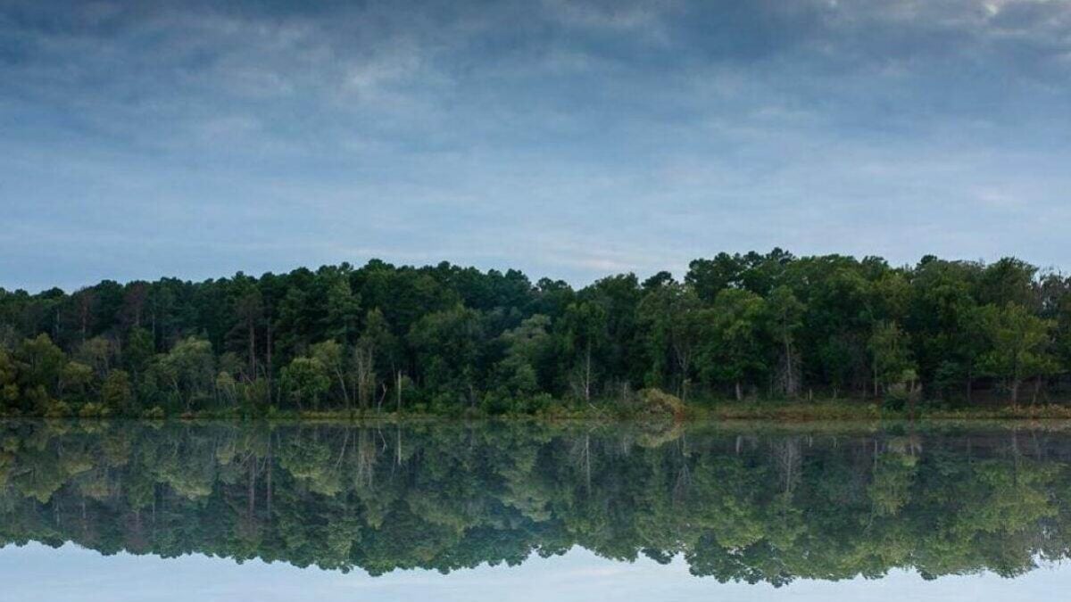 trees reflected in the lake at Atlanta State Park
