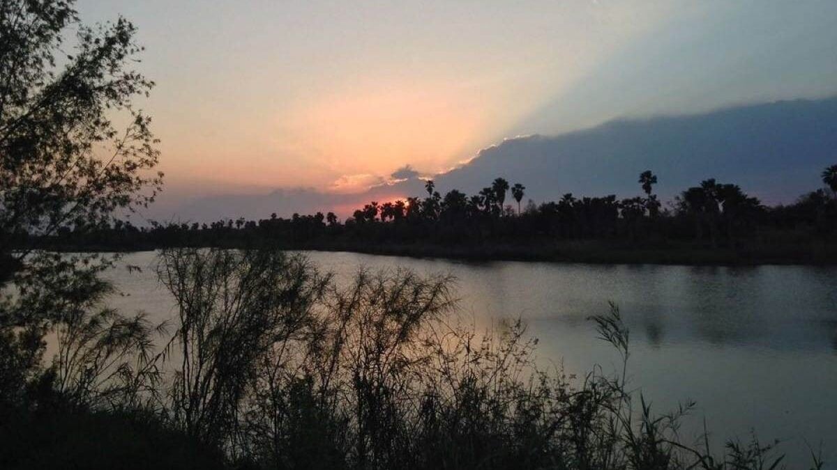 a look across the river from Bentsen-Rio Grand Valley State Park