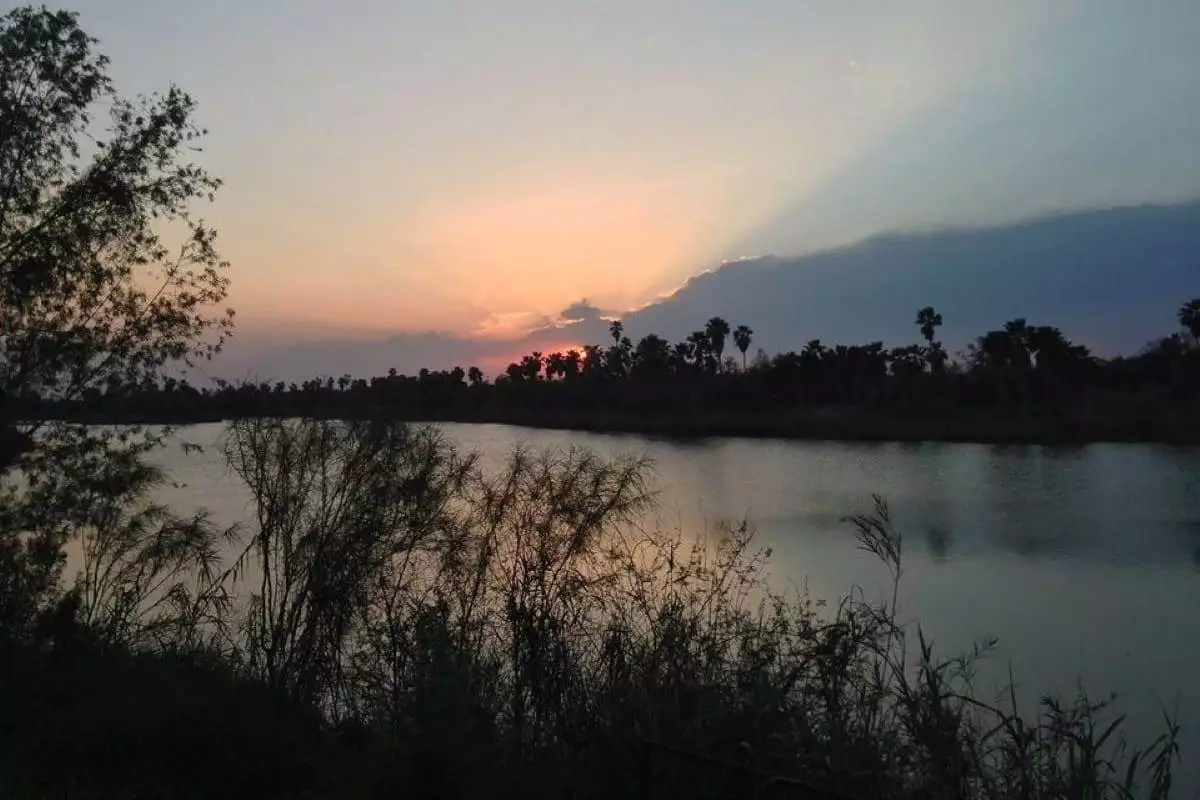 A look across the river from Bentsen-Rio Grande Valley State Park