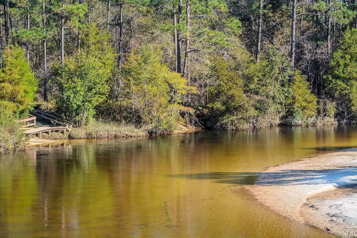 river in a state park near mexico beach florida