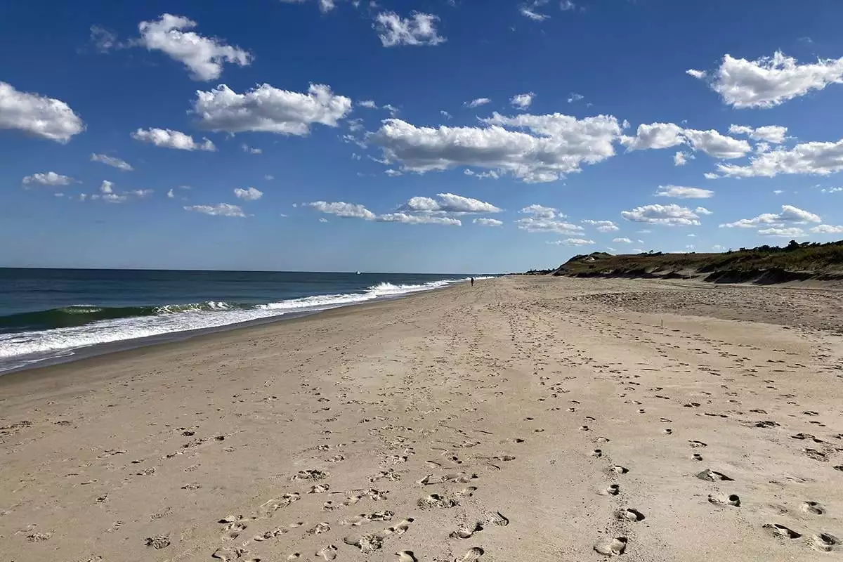 Cape Henlopen beach