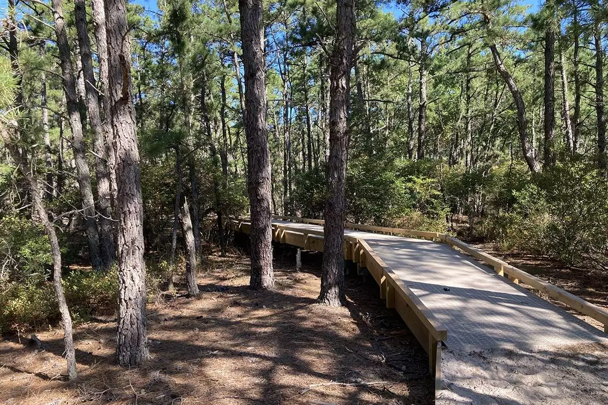a wooden bridge on the Pinelands Nature Trail