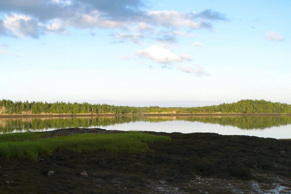 reflection in the water at cobscook bay state park in maine