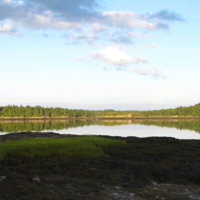 Cobscook Bay State Park
