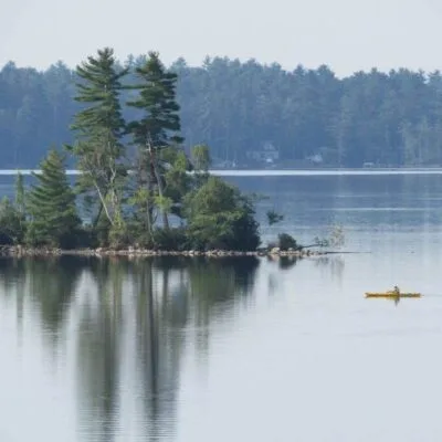 Damariscotta Lake State Park