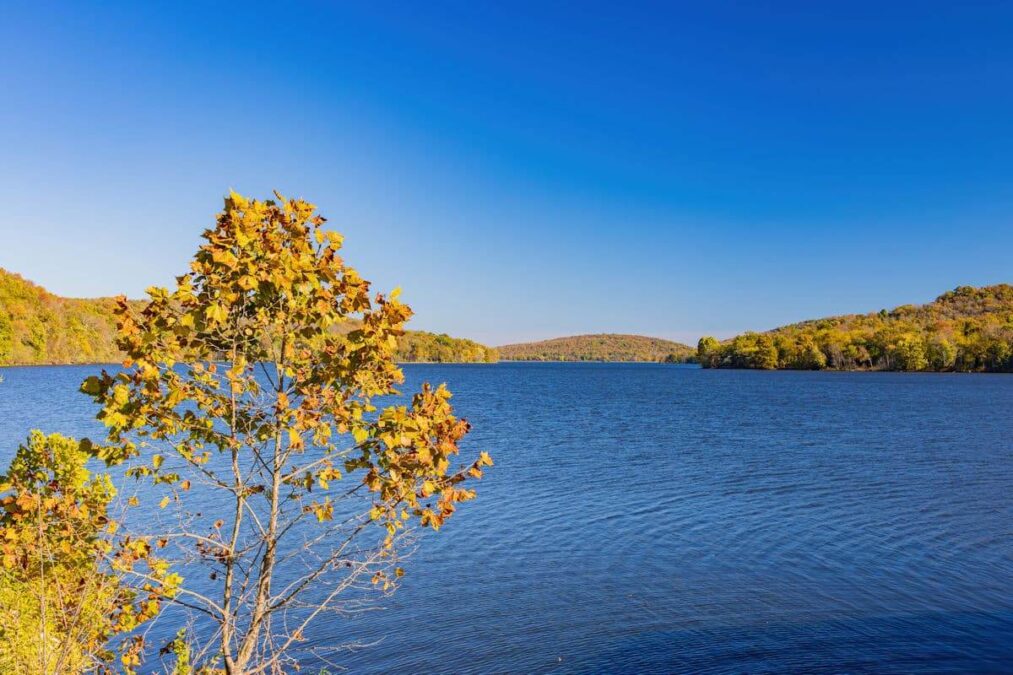 Greenleaf State Park 1 fall foliage by the lake at greenleaf state park in oklahoma