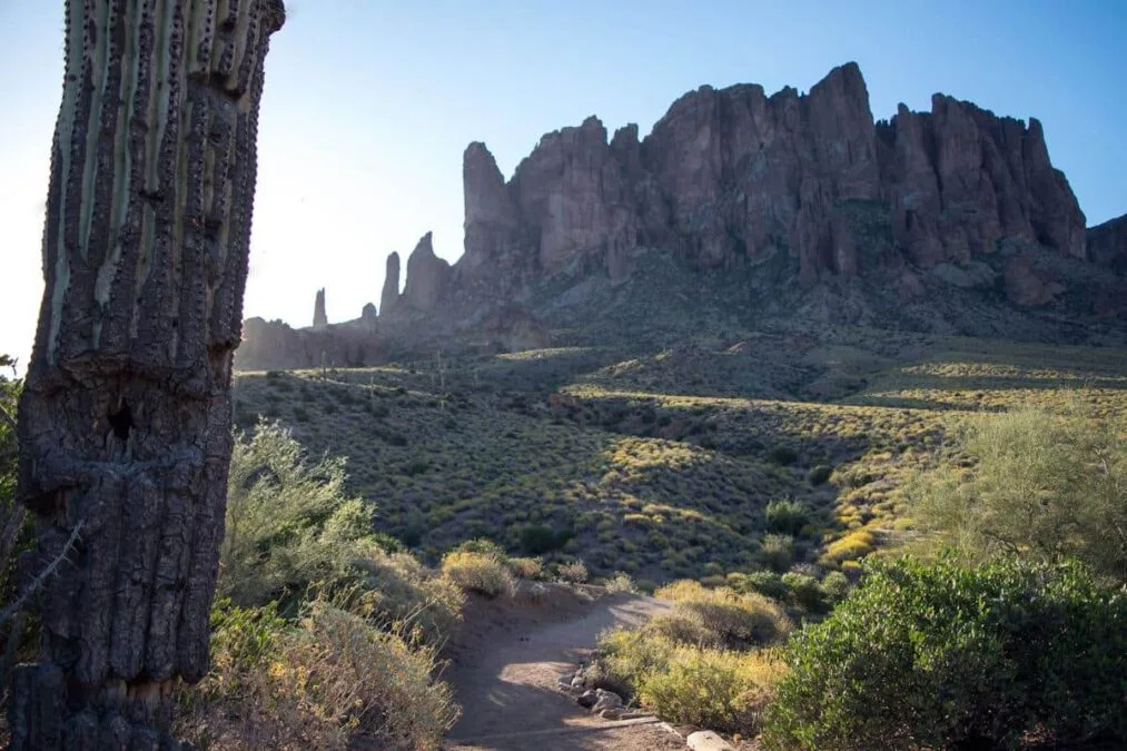 Lost Dutchman State Park 15 The Superstition Mountains rise high in the background of Lost Dutchman State Park