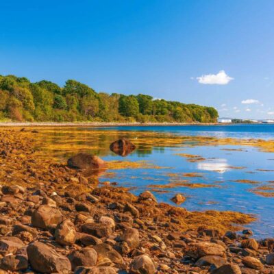 Moose Point State Park