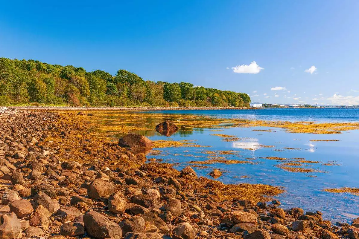 Rocky coastline of Penobscot Bay in Moose Point State Park