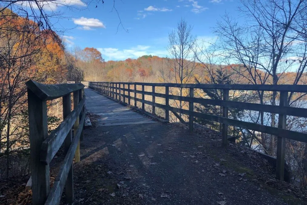 A wooden bridge across the water at New River Trail State Park