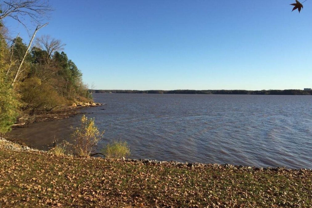 A view of a body of water in a State Park with trees in the background.