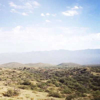 Oracle State Park