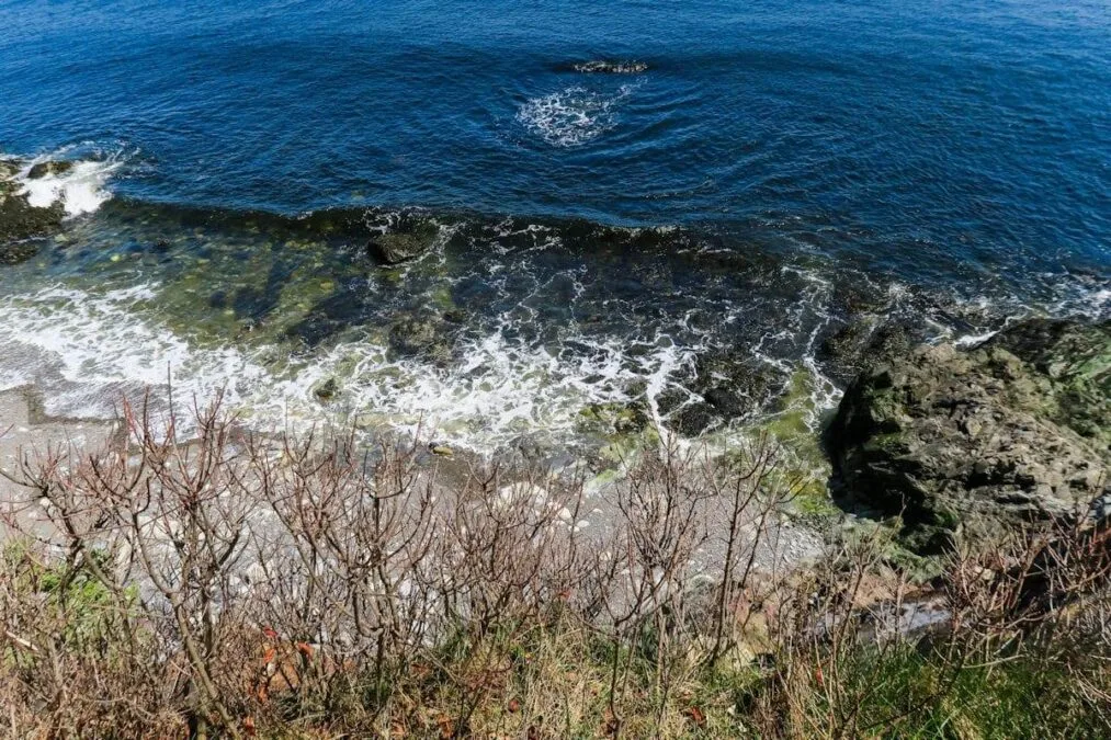 Waves crashing against the shore at Owls Head State Park