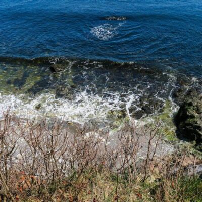 Owls Head State Park in Maine