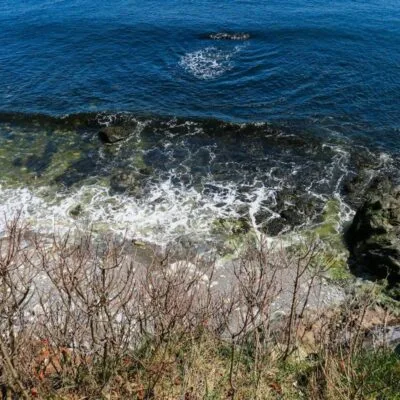 Owls Head State Park