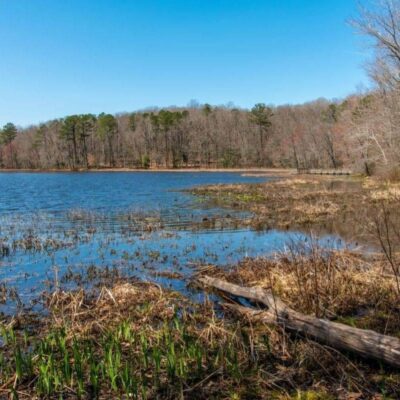 Pocahontas State Park