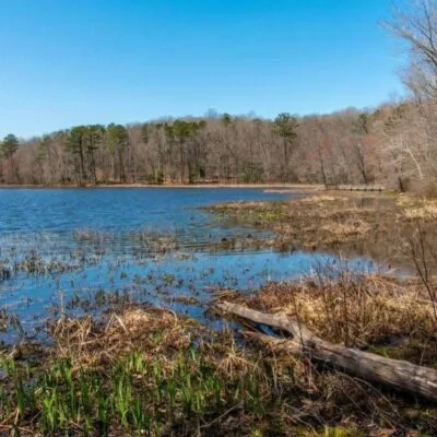 Pocahontas State Park