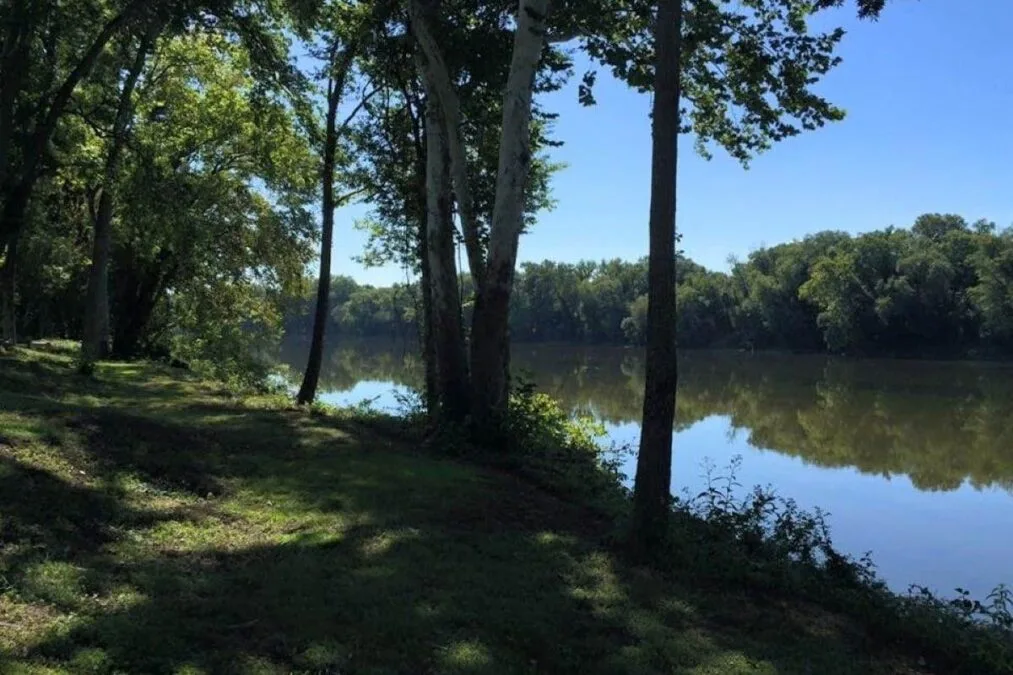 Trees on the river bank at Powhatan State Park