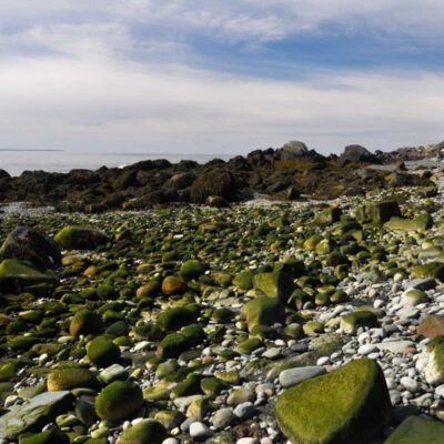 Quoddy Head State Park