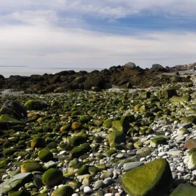 Quoddy Head State Park