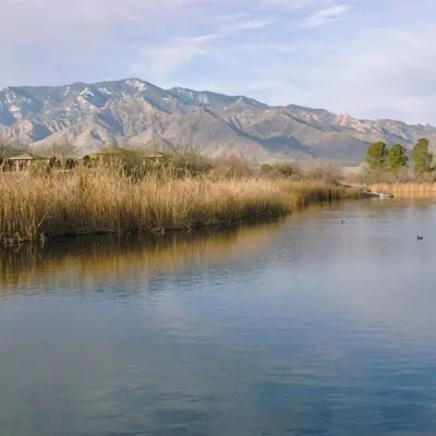 Roper Lake State Park