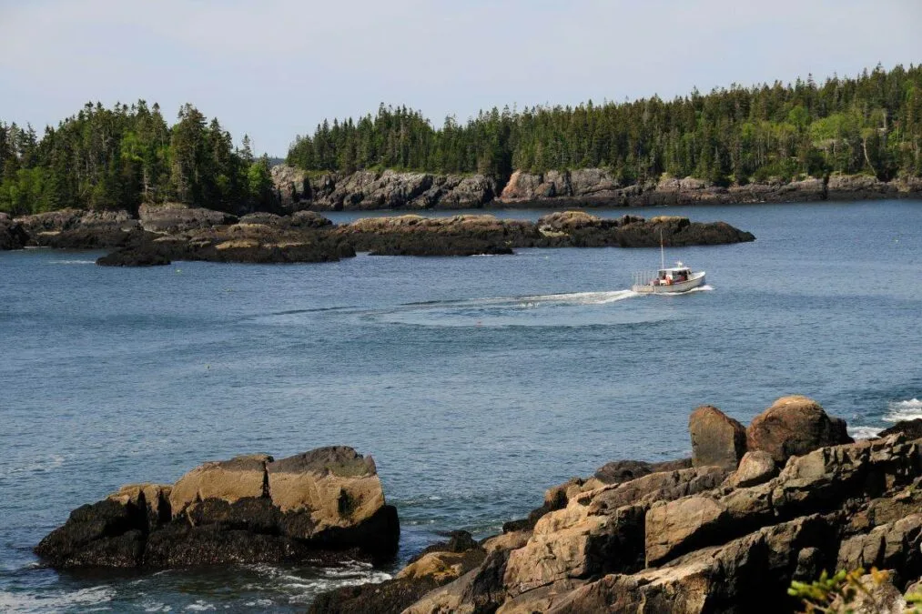 Lobster Fisherman picking up traps, Roque Bluffs, Maine
