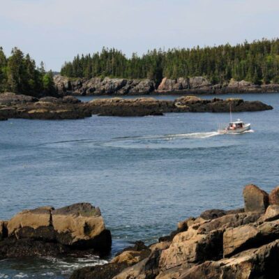 Wolfes Neck Farm Trails