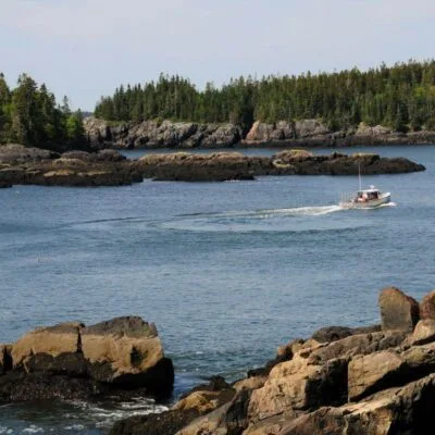 Wolfes Neck Farm Trails