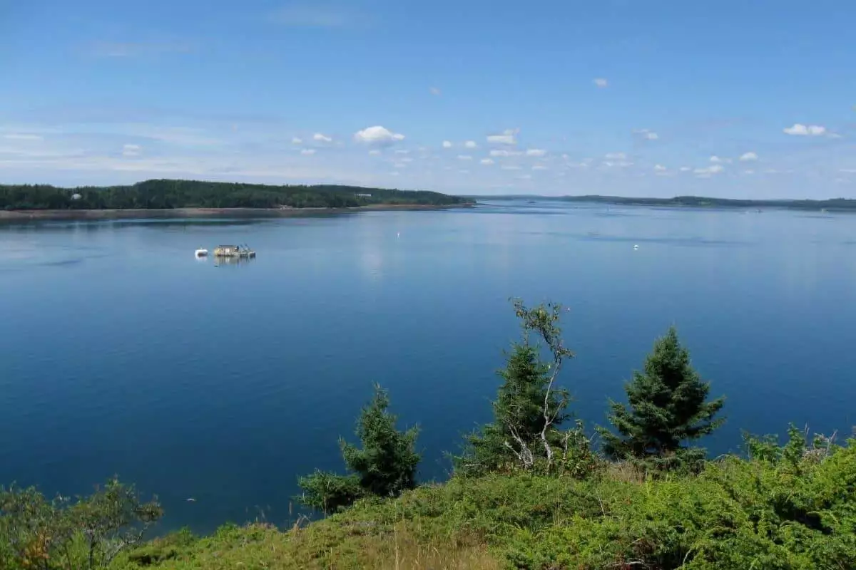 View of Cobscook Bay from Shackford Head State Park in city of Eastport