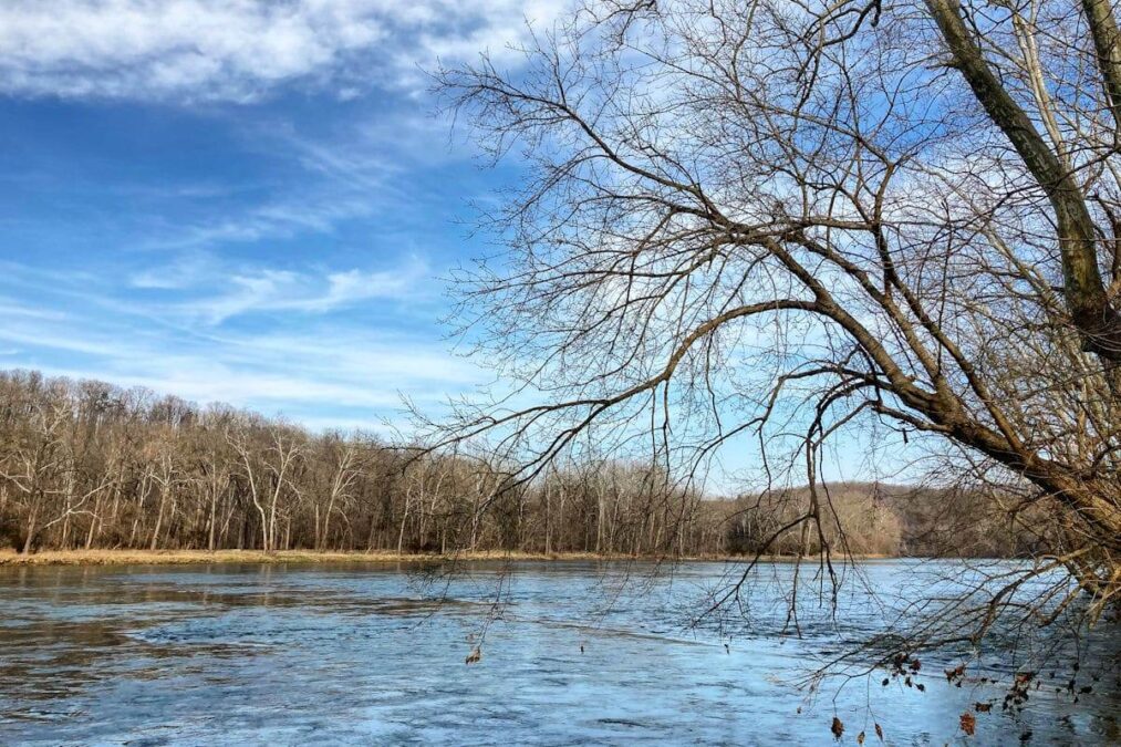 Shenandoah River State Park 1 tree branches hanging over the water at Shenandoah River State Park