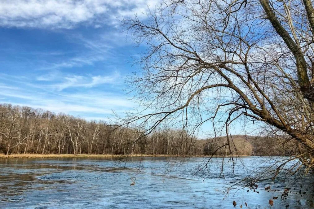 tree branches hanging over the water at Shenandoah River State Park
