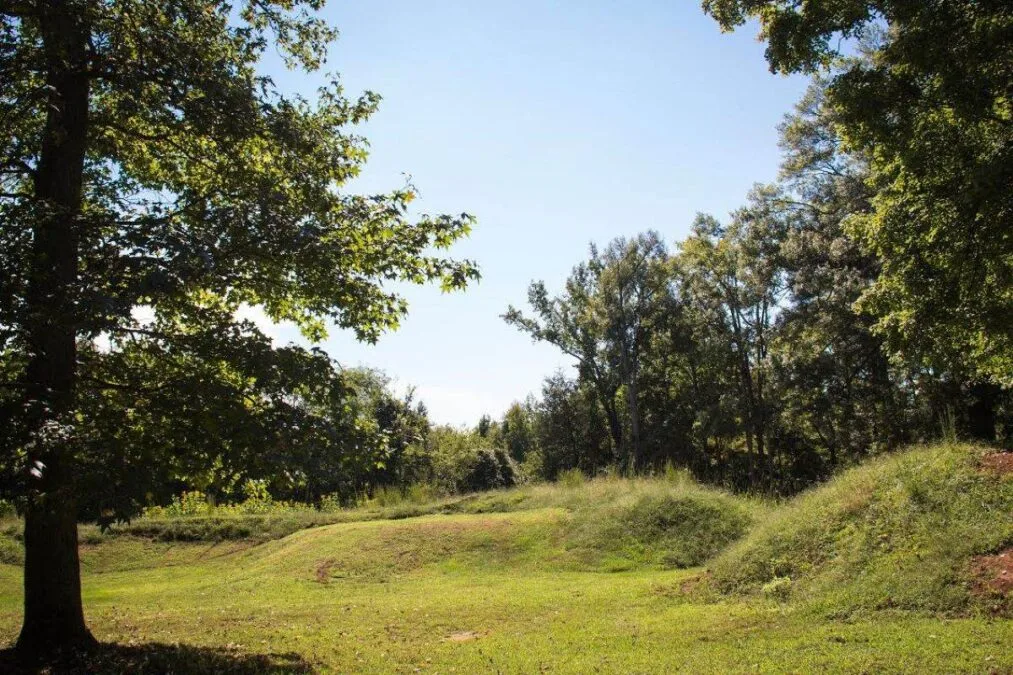 A clearing through the trees at Staunton River Battlefield State Park