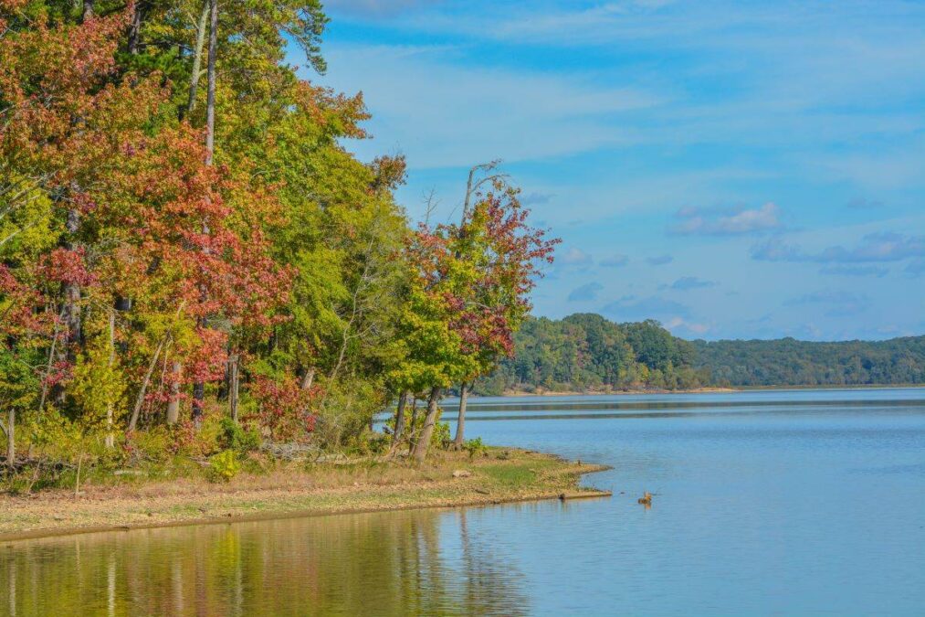 The trees Fall colorful leaves on the shore of Staunton River State Park