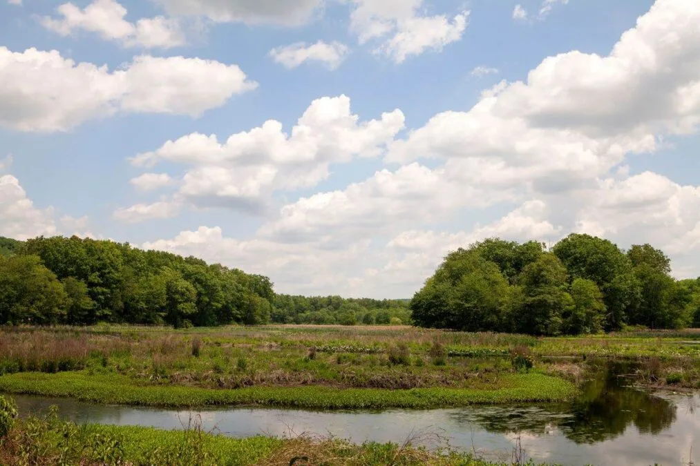 Waterloo Lake at Allamuchy Mountain State Park