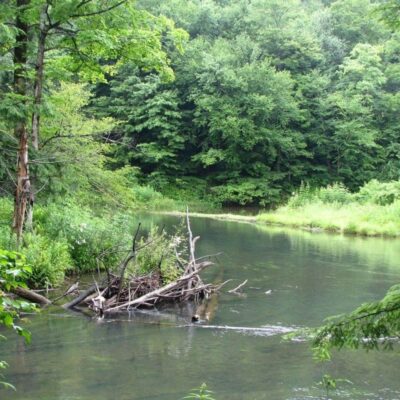 Bendigo State Park