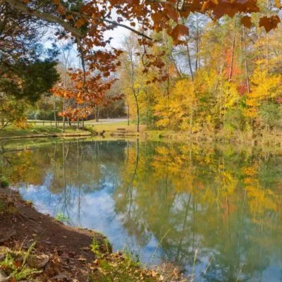 Big Ridge State Park