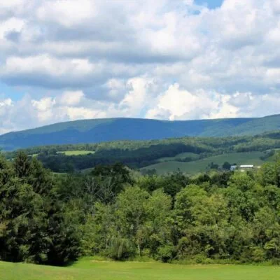 Blue Knob State Park