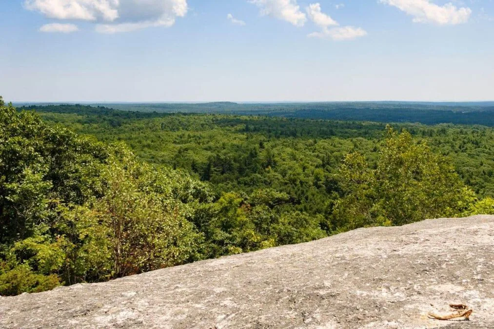 view of the trees below Bradbury Mountain State Park