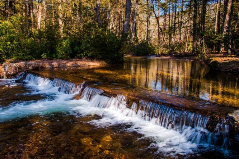 Caledonia State Park