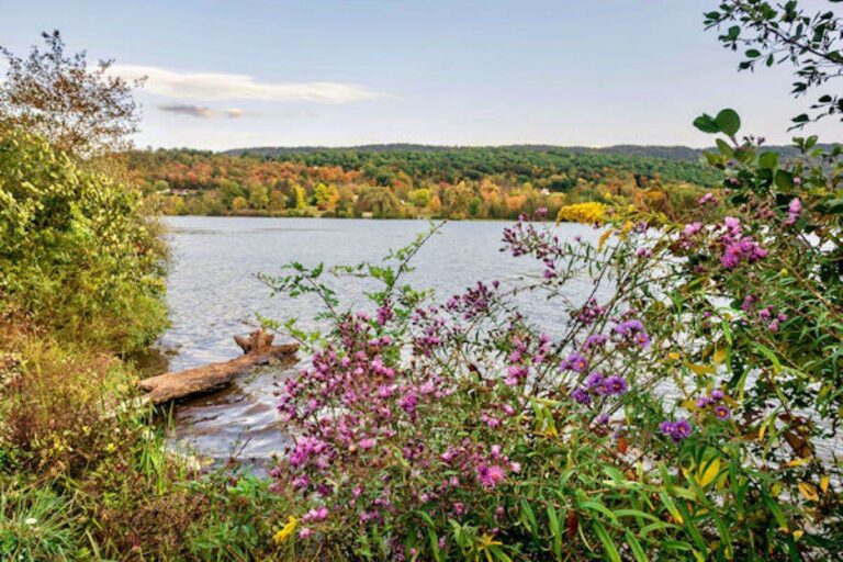 Canoe Creek State Park