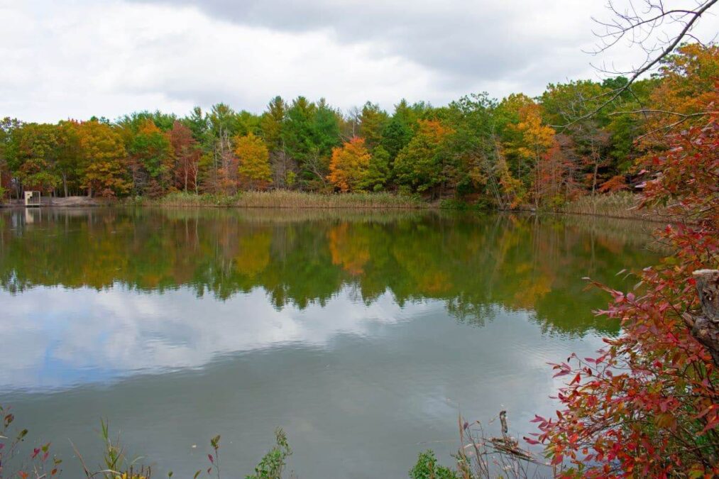 Cheesequake State Park 1 Perrine Pond at Cheesequake State Park with reflections of brilliant autumn foliage and a cloudy sky