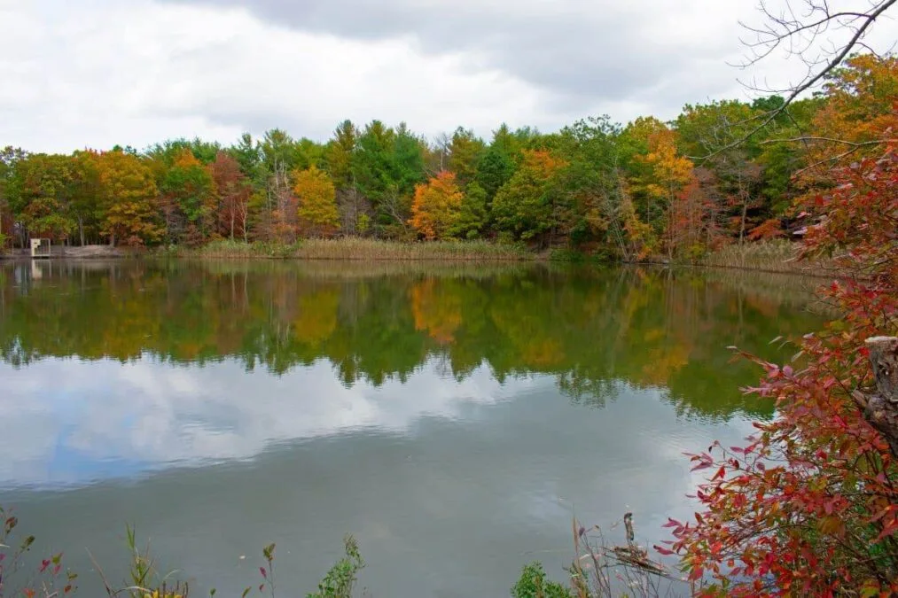 Perrine Pond at Cheesequake State Park with reflections of brilliant autumn foliage and a cloudy sky