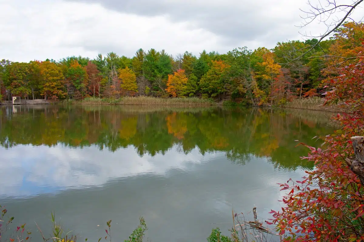 Cheesequake State Park