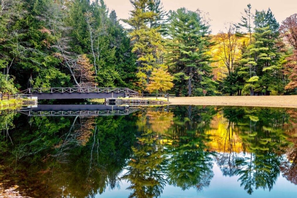Clear Creek State Park 1 Fall Trees Reflecting in the Creek at Clear Creek State Park near Clarion, Pennsylvania With the yellow and orange showing in the very still water and a dock in the background