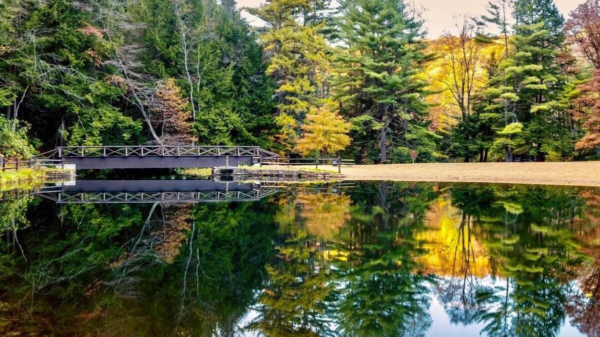 Fall Trees Reflecting in the Creek at Clear Creek State Park near Clarion, Pennsylvania With the yellow and orange showing in the very still water and a dock in the background