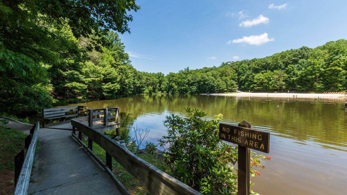 Landscape of the Swimming and Fishing Area in Colonel Denning State Park