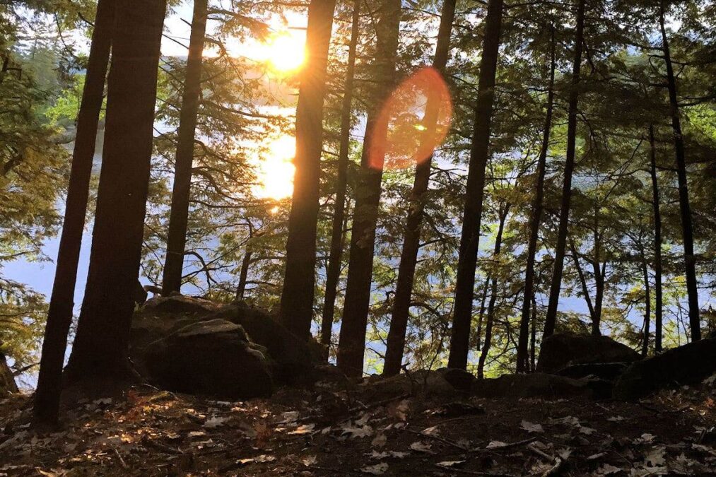 Ellacoya State Park 2 sunset peeking through the trees at a state park in new hampshire
